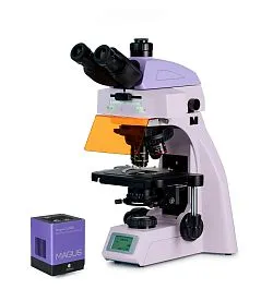 snímek fluorescenční digitální mikroskop MAGUS Lum D450L