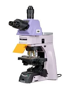 snímek fluorescenční mikroskop MAGUS Lum 490L
