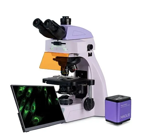 snímek fluorescenční digitální mikroskop MAGUS Lum D450L LCD,  1