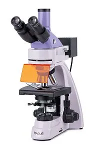 fotografie fluorescenční mikroskop MAGUS Lum 400L