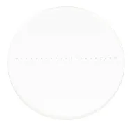 fotografie kalibrační sklíčko pro stereomikroskopy MAGUS CSS1 (0,1)