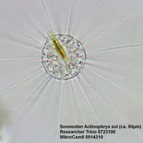 foto mikroskop Bresser Researcher Trino 40–1000x,  15