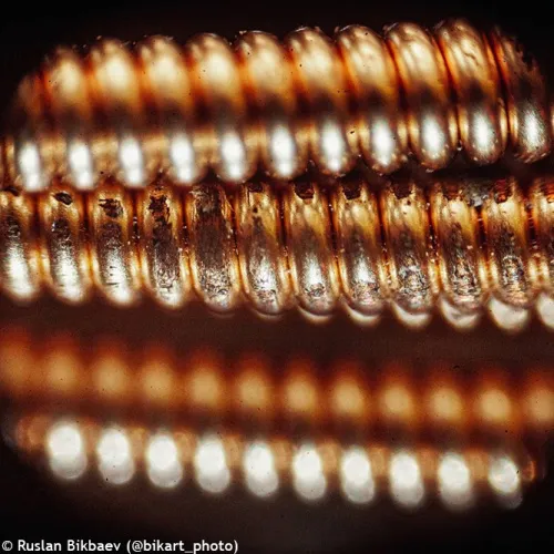 fotografie mikroskop Levenhuk Rainbow 50L PLUS,  22