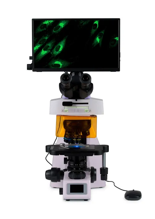 snímek fluorescenční digitální mikroskop MAGUS Lum D450L LCD,  8