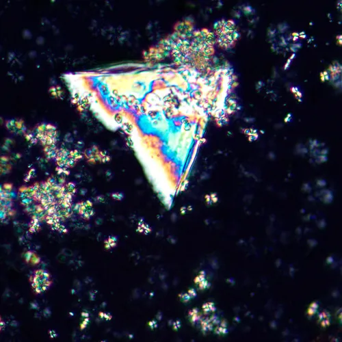 fotografie polarizační digitální mikroskop MAGUS Pol D850,  25