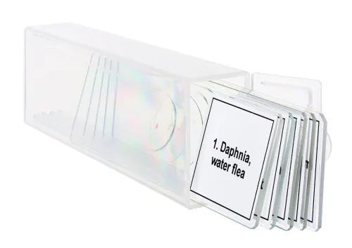 snímek sada mikropreparátů Levenhuk Discovery Prof DPS 5. „Život v kapce vody“,  5