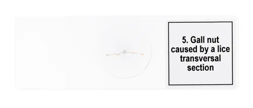 fotografie sada mikropreparátů Levenhuk Discovery Prof DPS 5. „Mutace“,  8