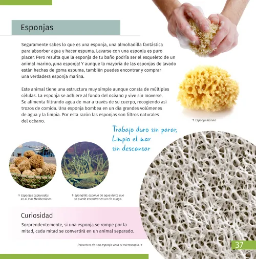 fotografie neviditelný svět. Vzdělávací publikace,  7