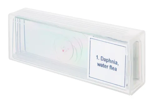 snímek sada mikropreparátů Levenhuk Discovery Prof DPS 5. „Život v kapce vody“,  4