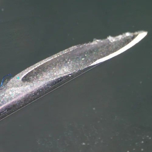 snímek stereomikroskop MAGUS Stereo 9T,  22