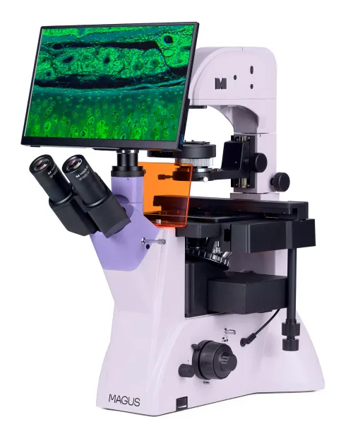 snímek fluorescenční inverzní digitální mikroskop MAGUS Lum VD500L LCD,  3