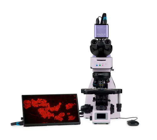 fotografie fluorescenční digitální mikroskop MAGUS Lum D460L LCD,  10