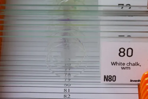 fotografie sada preparátů a sklíček Levenhuk N80 NG "Uvidět vše",  4