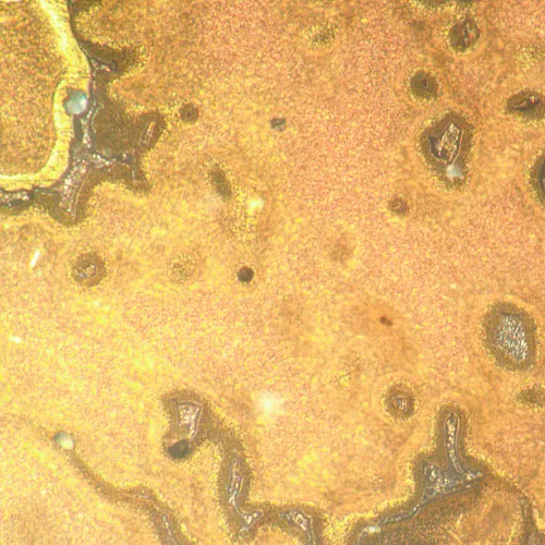 obrázek metalurgický inverzní mikroskop MAGUS Metal V790 DIC,  21