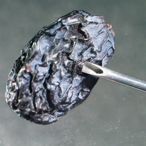 snímek stereomikroskop MAGUS Stereo A6,  14