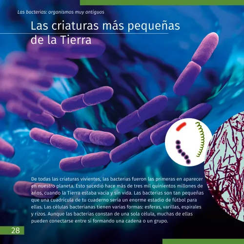 fotografie neviditelný svět. Vzdělávací publikace,  4