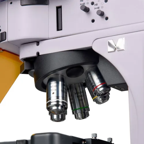 snímek fluorescenční mikroskop MAGUS Lum 490L,  14