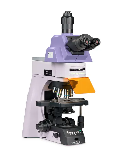 snímek fluorescenční mikroskop MAGUS Lum 490L,  2