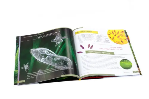 foto neviditelný svět. Vzdělávací publikace. Pevná vazba,  4