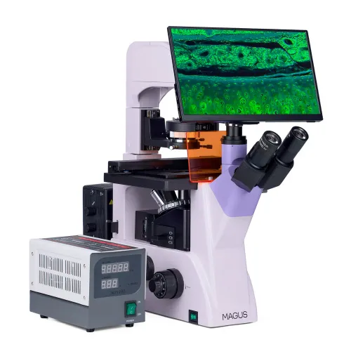 fotografie fluorescenční inverzní digitální mikroskop MAGUS Lum VD500 LCD,  4