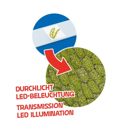 obrázek sada mikroskopu a hvězdářského dalekohledu Bresser Junior,  7