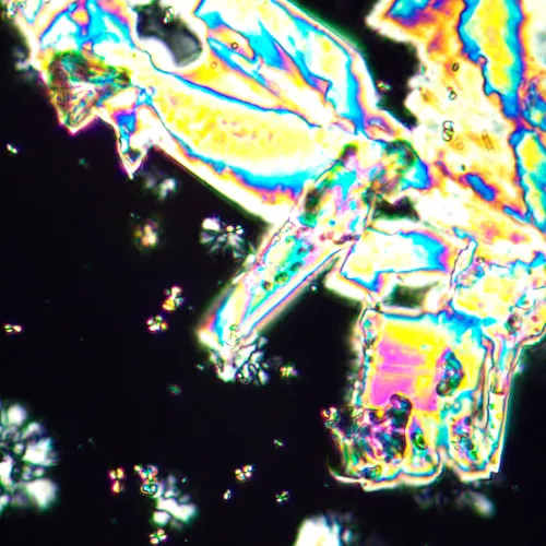 fotografie polarizační mikroskop MAGUS Pol 890,  25