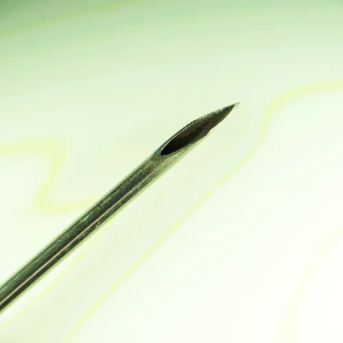 fotografie stereomikroskop MAGUS Stereo 8B,  15