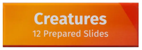 fotografie sada hotových živočišných preparátů Levenhuk LabZZ C12,  8