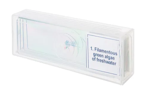 fotografie sada mikropreparátů Levenhuk Discovery Prof DPS 5. „Biologie“,  4