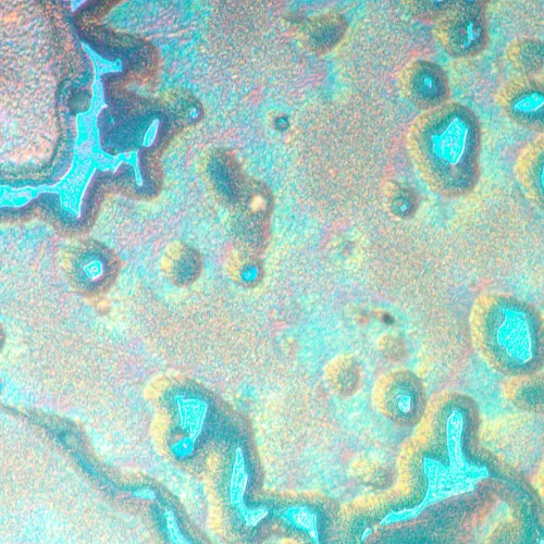 obrázek metalurgický inverzní mikroskop MAGUS Metal V790 DIC,  20