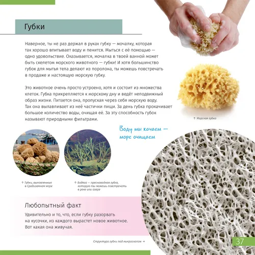 fotografie neviditelný svět. Vzdělávací publikace,  7