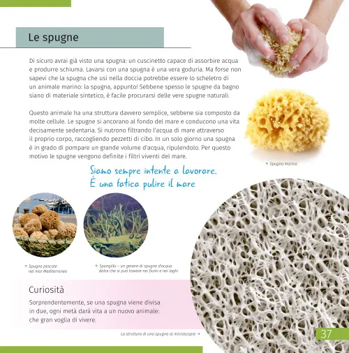 fotografie neviditelný svět. Vzdělávací publikace,  2