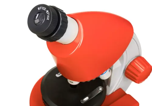 obrázek mikroskop se vzdělávací publikací Levenhuk Discovery Micro,  11