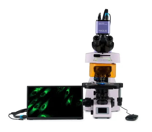 snímek fluorescenční digitální mikroskop MAGUS Lum D450L LCD,  9