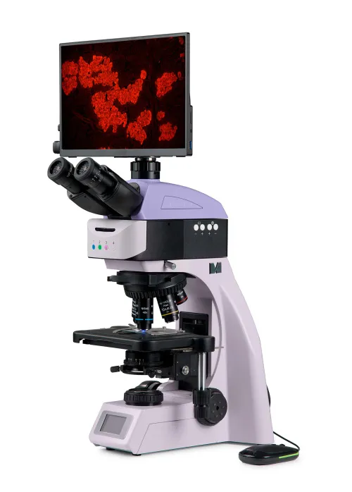 fotografie fluorescenční digitální mikroskop MAGUS Lum D460L LCD,  2