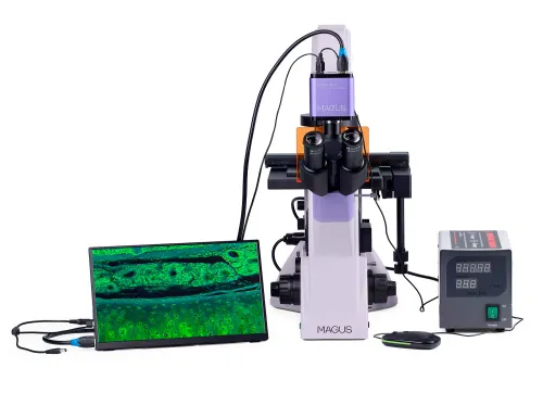 fotografie fluorescenční inverzní digitální mikroskop MAGUS Lum VD500 LCD,  6