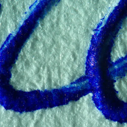 fotografie stereomikroskop MAGUS Stereo A10,  19