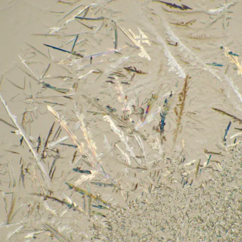 fotografie biologický digitální mikroskop MAGUS Bio D230T,  26