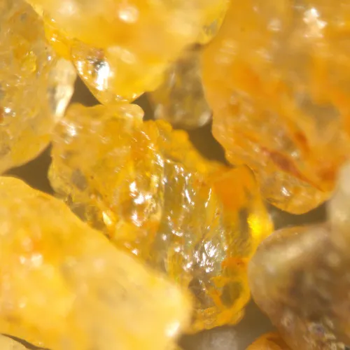 snímek stereomikroskop MAGUS Stereo A18T,  7