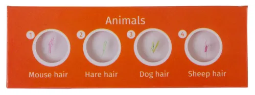 fotografie sada hotových živočišných preparátů Levenhuk LabZZ C12,  2