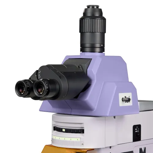 snímek fluorescenční mikroskop MAGUS Lum 490L,  9