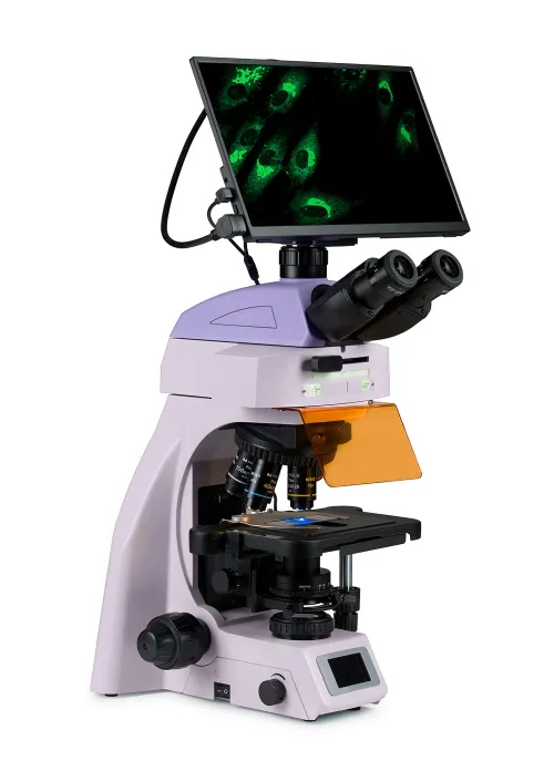 snímek fluorescenční digitální mikroskop MAGUS Lum D450L LCD,  3