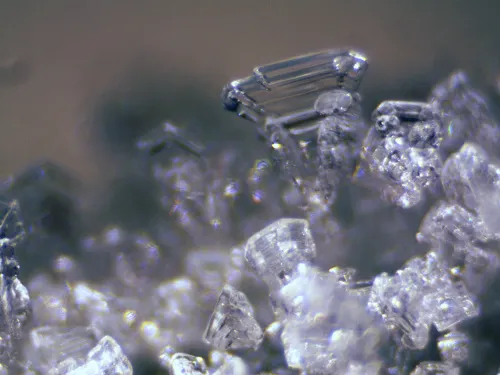 obrázek stereomikroskop Bresser Erudit ICD,  12