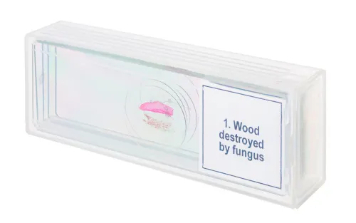 fotografie sada mikropreparátů Levenhuk Discovery Prof DPS 5. „Mutace“,  4