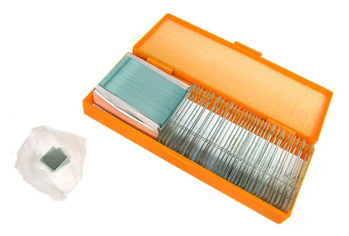 obrázek sada preparátů připravených k pozorování mikroskopem Levenhuk N38 NG,  3