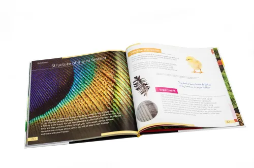 foto neviditelný svět. Vzdělávací publikace. Pevná vazba,  4