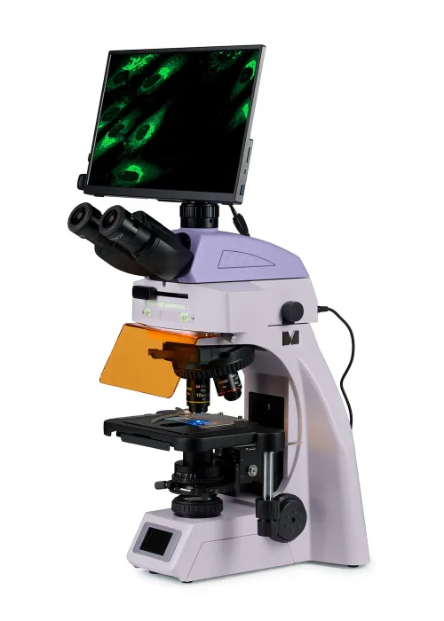 snímek fluorescenční digitální mikroskop MAGUS Lum D450L LCD,  2
