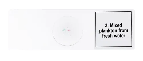 snímek sada mikropreparátů Levenhuk Discovery Prof DPS 5. „Život v kapce vody“,  7