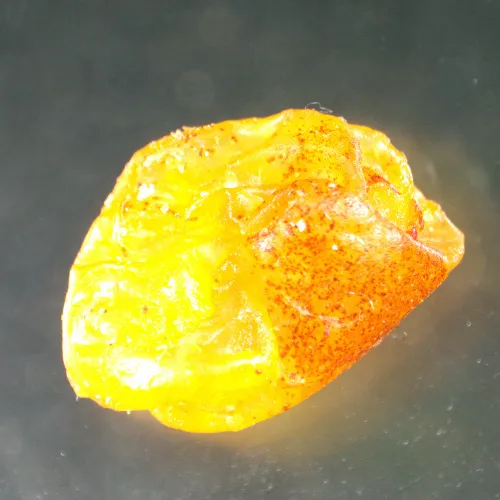 foto stereomikroskop MAGUS Stereo A8,  15