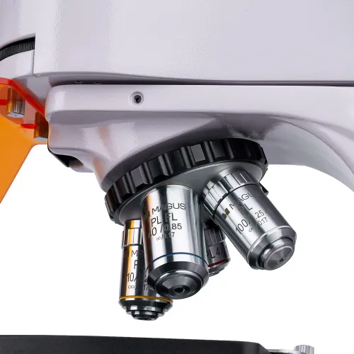 snímek fluorescenční digitální mikroskop MAGUS Lum D400L,  13